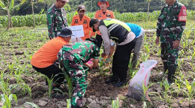 PENDAMPINGAN PENANAMAN 1000 POHON AREN DI WILAYAH BINAAN