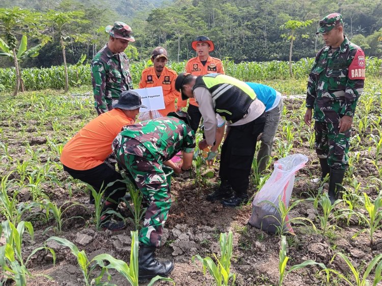 PENDAMPINGAN PENANAMAN 1000 POHON AREN DI WILAYAH BINAAN